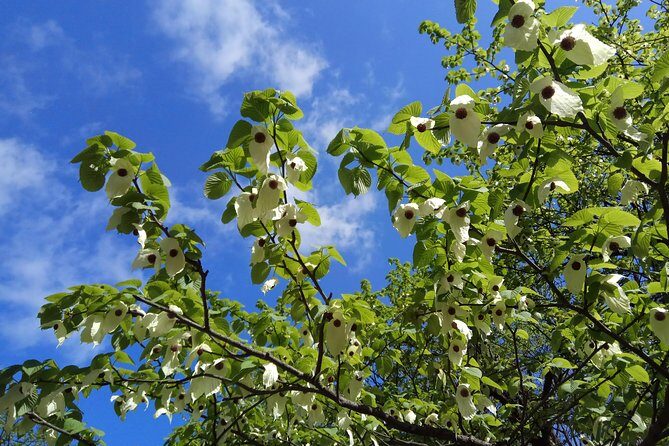 Tianmen Mountain(Glass Walking Way) day tour - In The Sum Up