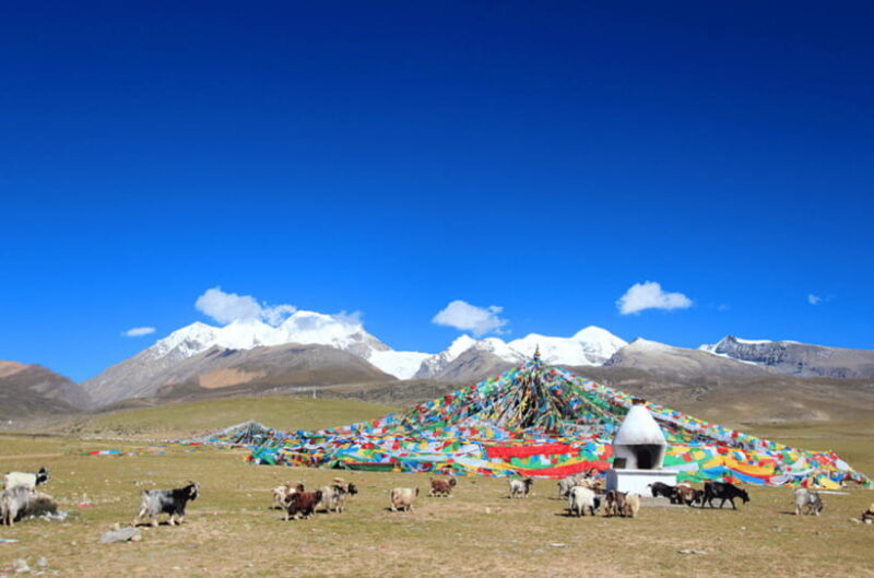 Tibet classic highlights 5days tour - Why This Tour Offers Great Value