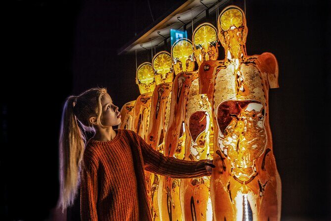 Ticket Expo Body Worlds in Bruges, Belgium - FAQs