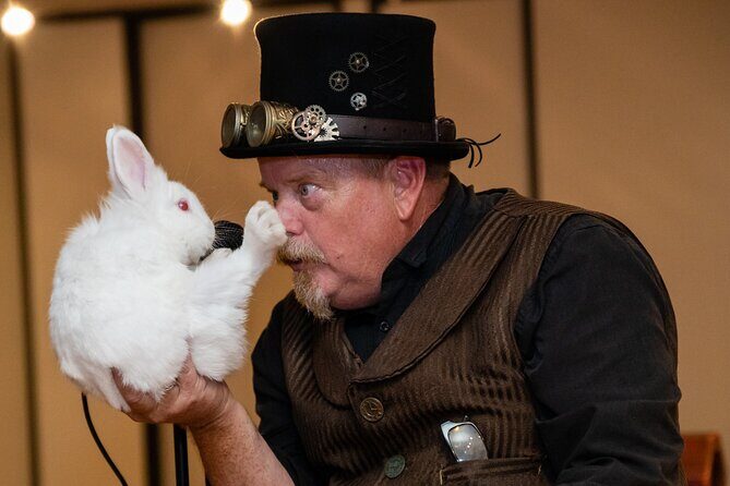 Ticket for Magic Show Theater in Houston - Key Points