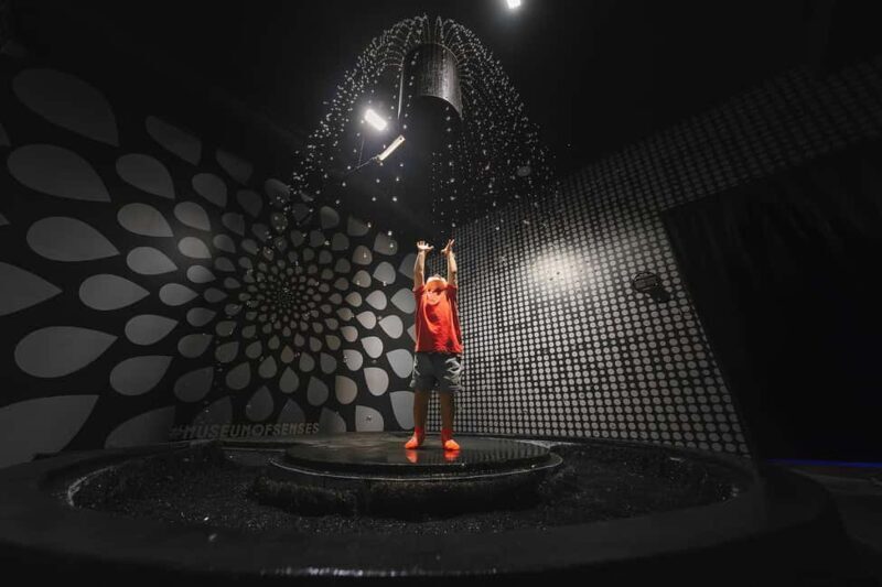 Ticket for the Museum of Senses Milan with SenseKit included - Discovering the Museum of Senses Milan: A Unique Sensory Adventure