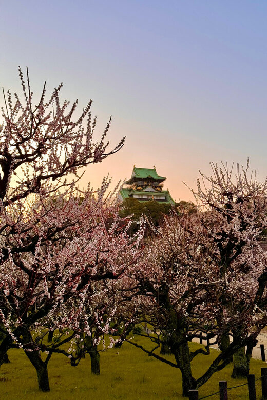 (Ticket Included) Explore Osaka Castle & Museum of History - Key Points