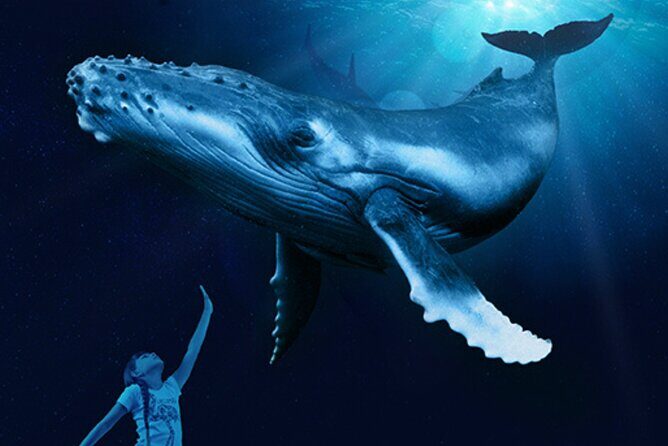 Ticket Palma Aquarium - FAQs