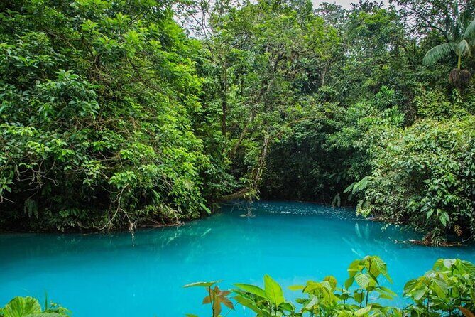 Ticket to Rio Celeste Waterfall & Tenorio Volcano National Park - Key Points