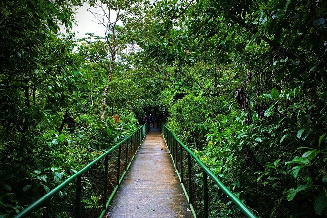 Ticket to Rio Celeste Waterfall & Tenorio Volcano National Park - FAQs