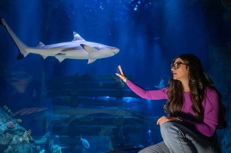 Ticket to SEA LIFE Konstanz - A Deep Dive into SEA LIFE Konstanz: What to Expect