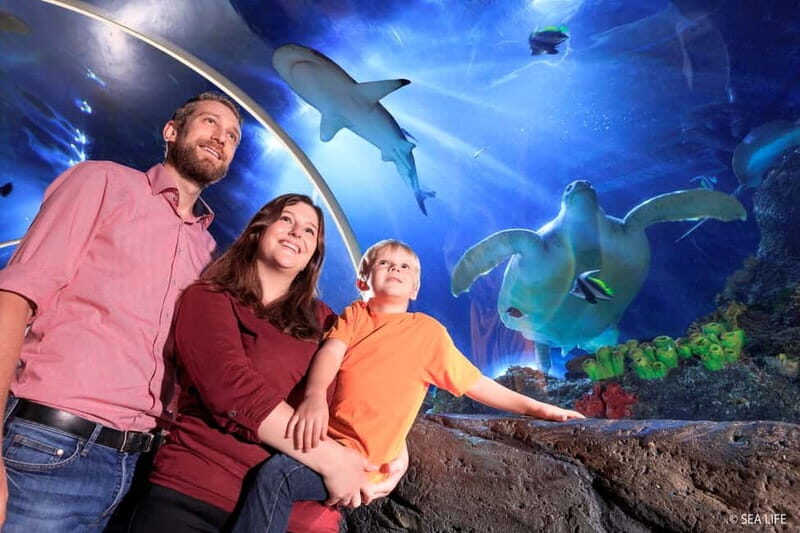 Ticket to SEA LIFE Konstanz - Frequently Asked Questions