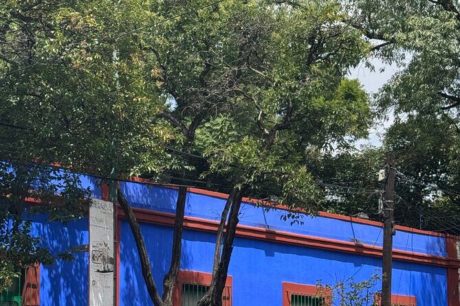 Tickets for Frida Kahlo Casa Azul Museum - Exploring the Tour: A Deep Dive