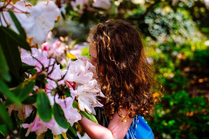 Tickets to Explore Ireland's Global Garden - Exploring Ireland’s Global Garden: A Balanced Look at Mount Congreve Gardens