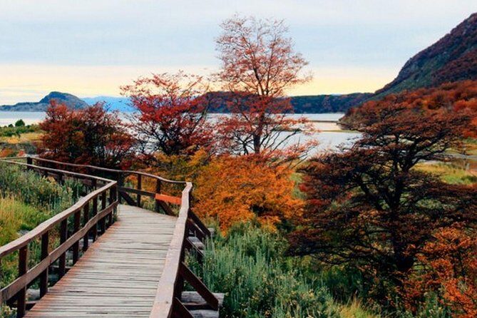 Tierra del Fuego National Park - Final Thoughts