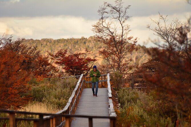 Tierra del Fuego National Park PM - with Dinner included - An Authentic Afternoon in Tierra del Fuego National Park — with Dinner Included