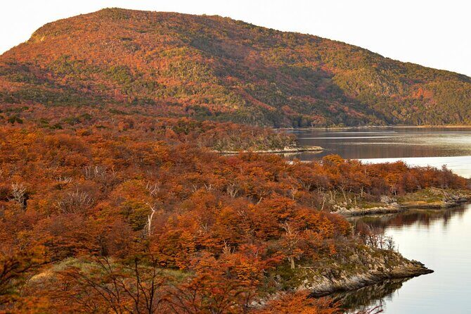 Tierra del Fuego National Park PM - with Dinner included - Exploring Tierra del Fuego: A Practical Review