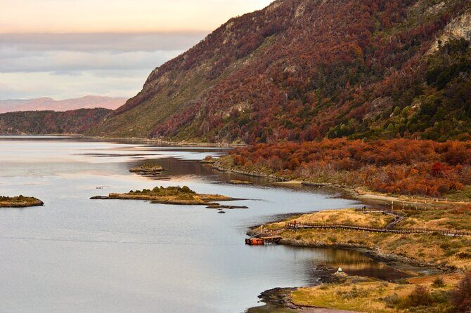Tierra del Fuego National Park PM - with Dinner included - Logistics and Practical Tips