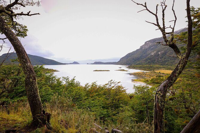 Tierra del Fuego National Park PRIVATE Shore Excursion - The Experience in Detail: What to Expect