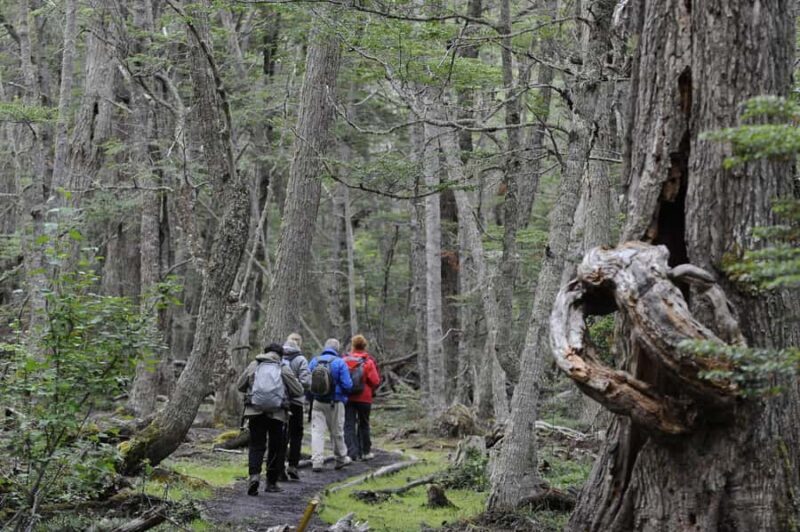 Tierra del Fuego National Park: Small Group Tour with Lunch - Key Points