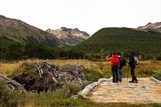 Tierra del Fuego National Park with the End of the World Train - Key Points
