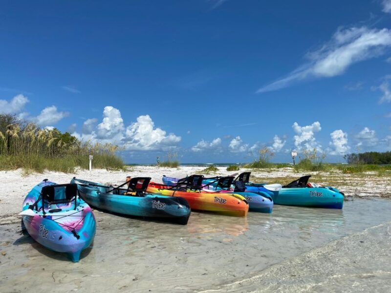Tierra Verde FL: Coastal Kayaking Tour in Shell Key - Key Points