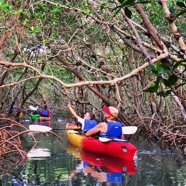 Tierra Verde FL: Coastal Kayaking Tour in Shell Key - Exploring the Shell Key Kayaking Experience in Depth