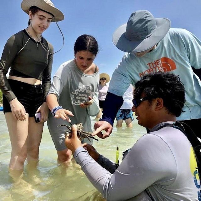 Tierra Verde FL: Coastal Kayaking Tour in Shell Key - Frequently Asked Questions