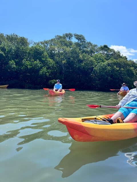 Tierra Verde: Shell Key Mangrove Private Guided 1.5 hr Tour - Final Thoughts