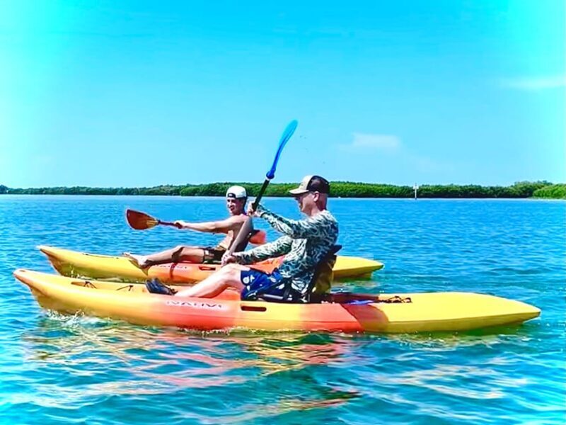 Tierra Verde: Shell Key Mangrove Private Guided 1.5 hr Tour - FAQs