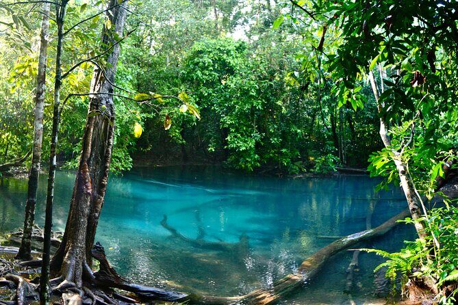 Tiger Cave and Emerald Pool Jungle Tour from Krabi - Practical Details and What to Expect