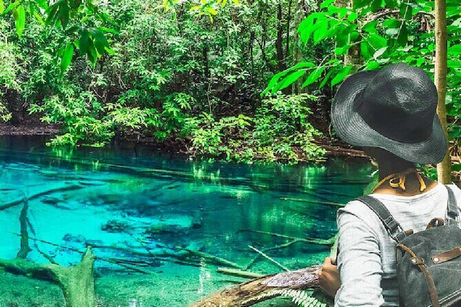 Tiger Cave Temple, Emerald Pool & Hot Springs Tour from Krabi - Key Points