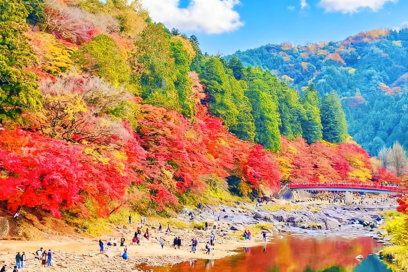 Tiger Creek Mountain Eihoji Temple & Obara Shikizakura & Korankei Autumn Leaves Day Trip - Three autumn sights, one day from Nagoya