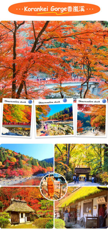 Tiger Creek Mountain Eihoji Temple & Obara Shikizakura & Korankei Autumn Leaves Day Trip - What the transport and schedule mean in practice