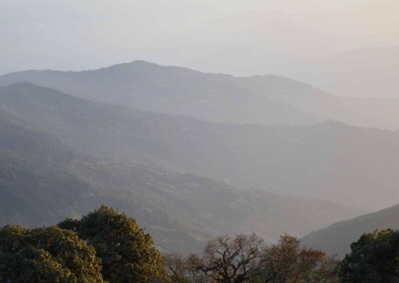 Tiger Hill Darjeeling Nature Walk (3 Hours Guided Tour) - Who Will Enjoy This Tour?