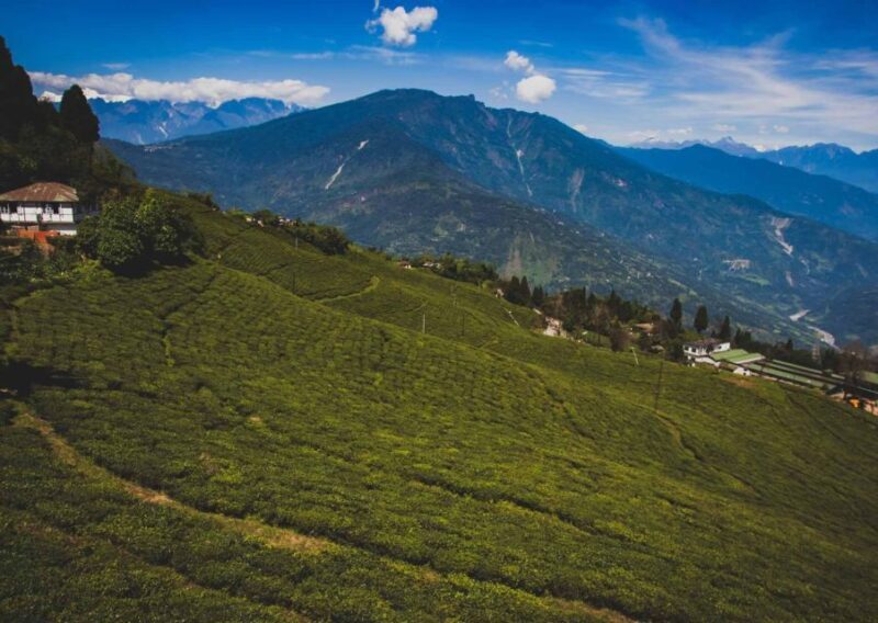 Tiger Hill Darjeeling Nature Walk (3 Hours Guided Tour) - FAQ