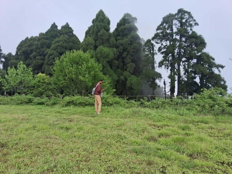 Tiger Hill Sunrise and Hiking Tour from Darjeeling - Who Should Consider This Tour?