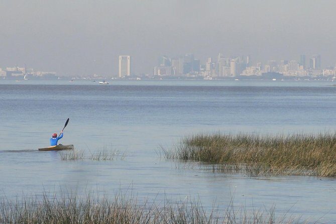 Tigre Delta Sightseeing Cruise from Buenos Aires - Key Points