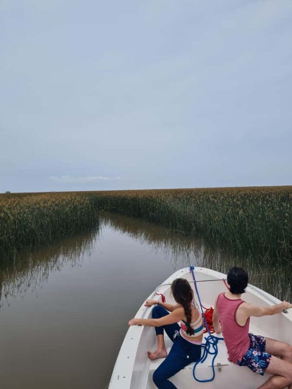 Tigre: Safari Náutico en Tigre/ Biosphere Reserve Boat Tour - A Deep Dive into the Tigre Safari Náutico Experience