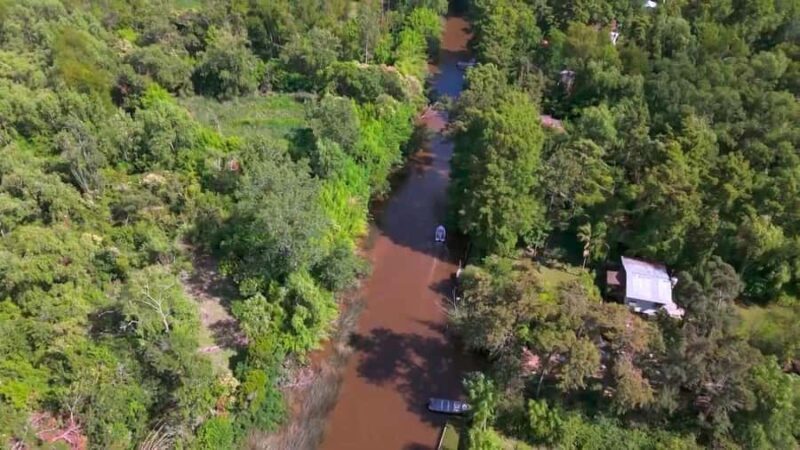 Tigre: Safari Náutico en Tigre/ Biosphere Reserve Boat Tour - The Value of This Experience