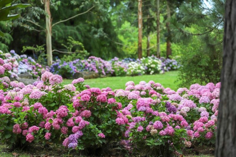 Tigre: sailing and hiking around El Descanso Island - Key Points