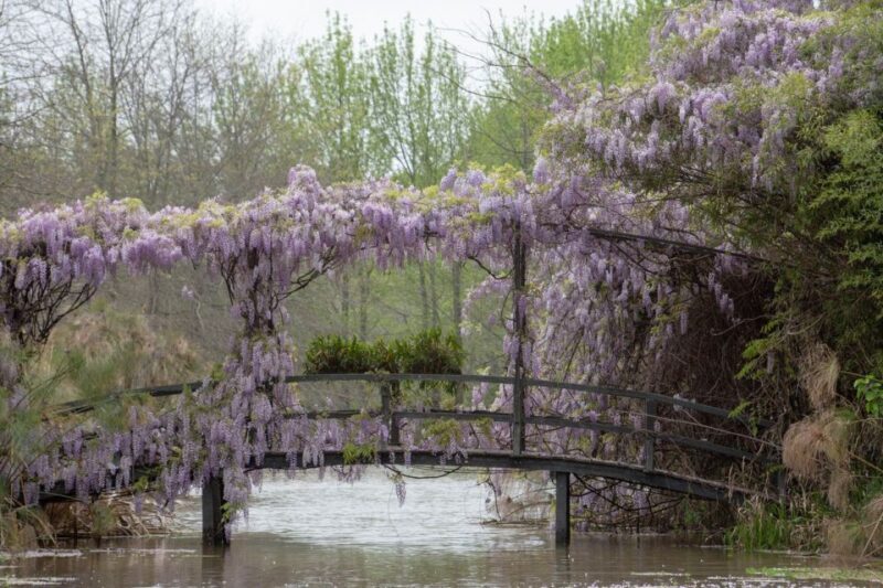 Tigre: sailing and hiking around El Descanso Island - An In-Depth Look at the Experience