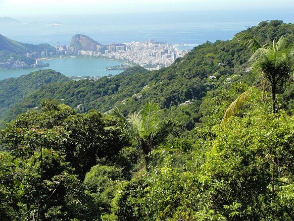 Tijuca Forest Challenge Full-Day Hike (Small-Group or Private) - Explore the Tijuca Forest Challenge: A Full-Day Hike in Rio de Janeiro