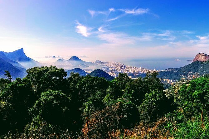 Tijuca Forest Challenge Full-Day Hike (Small-Group or Private) - An In-Depth Look at the Tijuca Forest Challenge Tour