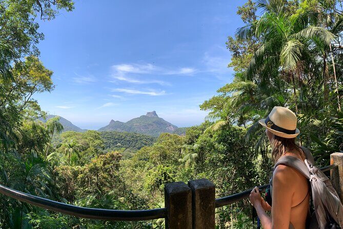 Tijuca Forest Hike - Waterfalls & Caves, Nature & Wild Life! - Key Points