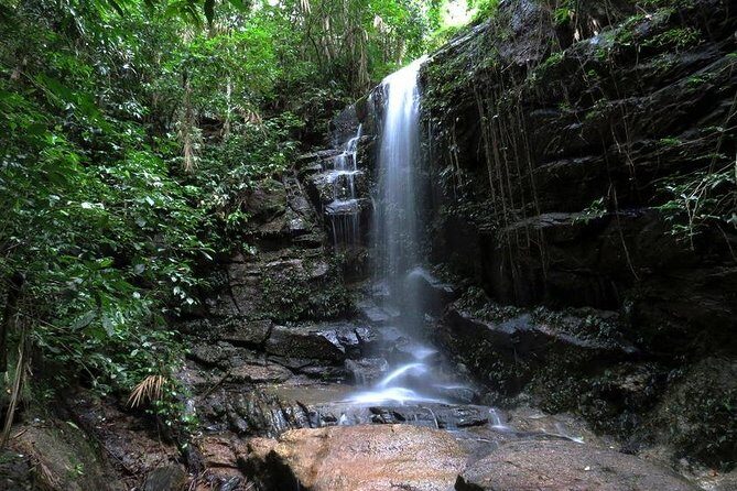Tijuca Forest Hiking Tour including Waterfalls - Key Points