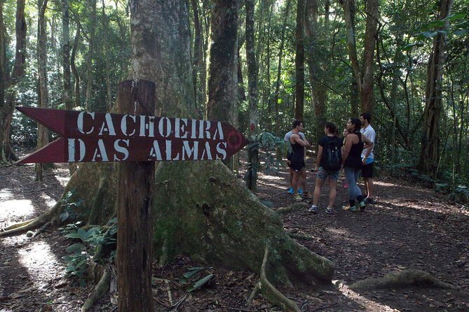 Tijuca Forest Hiking Tour including Waterfalls - The Sum Up