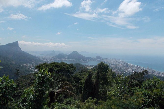 Tijuca Forest Jeep Tour - Exploring Rio’s Urban Jungle: Tijuca Forest Jeep Tour