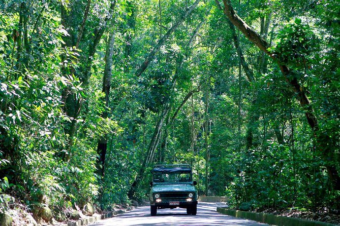 Tijuca Forest Jeep Tour - Final words