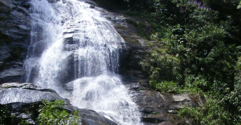 Tijuca Forest Tour - Key Points