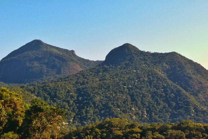 Tijuca Forest Trail Running Tour - Key Points