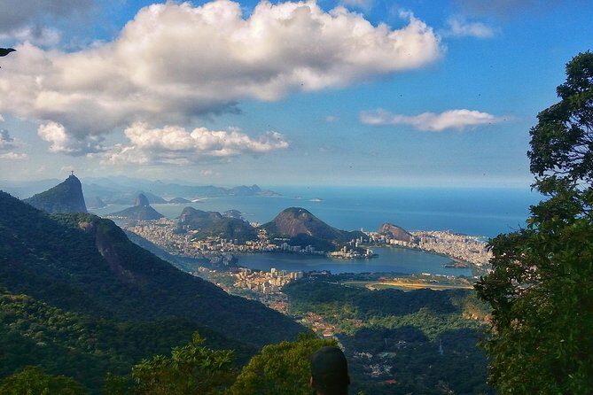 Tijuca Forest Trail Running Tour - A Deep Dive into the Tijuca Forest Trail Running Tour