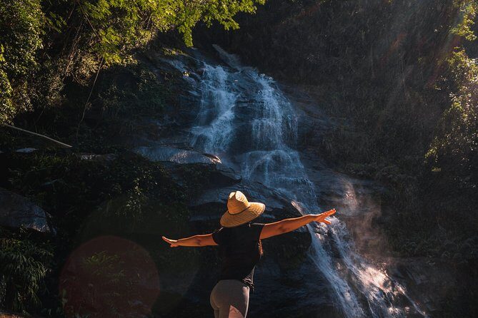Tijuca Forest Trail - specialized guide and photos - Discover the Tijuca Forest Trail with a Specialized Guide and Photos