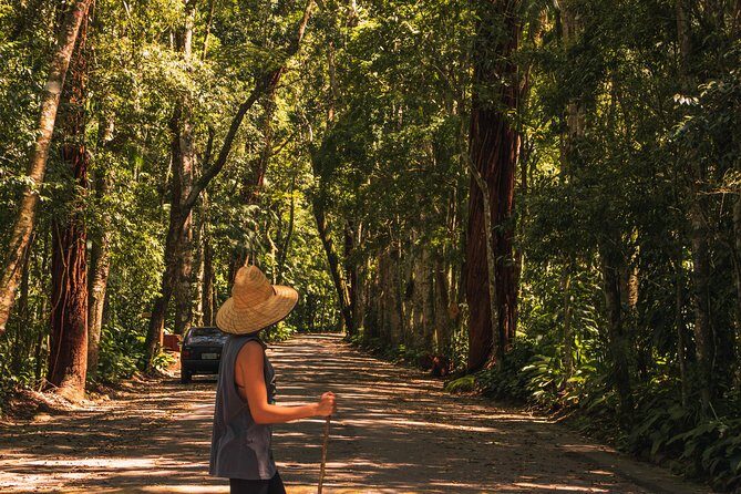 Tijuca Forest Trail - specialized guide and photos - Final Thoughts: Is It Worth It?