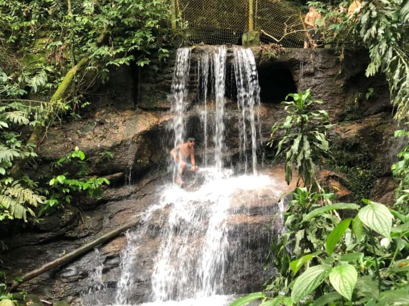 Tijuca Forest´s hike: caves, waterfalls and great views - Key Points